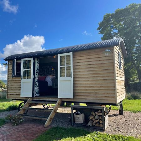 Toadland Shepherd Huts Durham Eksteriør bilde